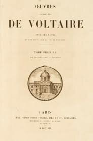 IDEA VOLTAIRE