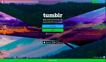 Tumblr and Friendfeed have also joined the fray.