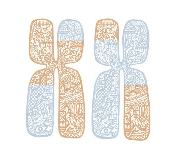 Recombinación Genética