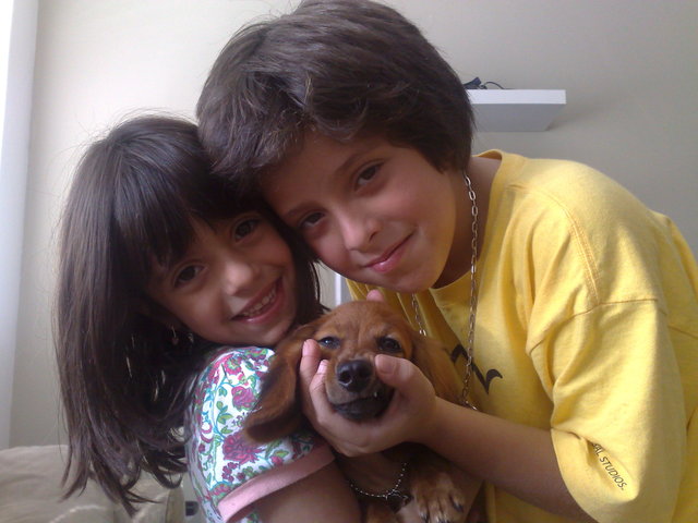 Se despede de seu antigo Cão