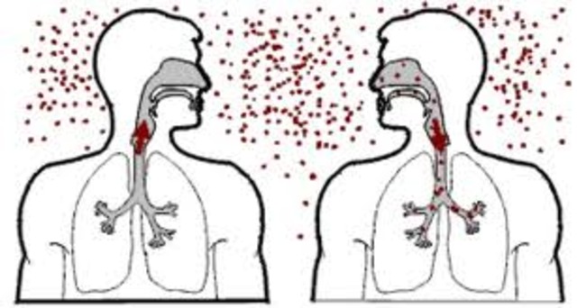 Death of Poe's Mother