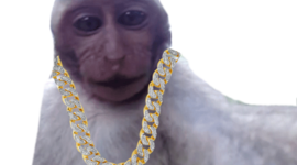 Timeline: Ben's Timeline