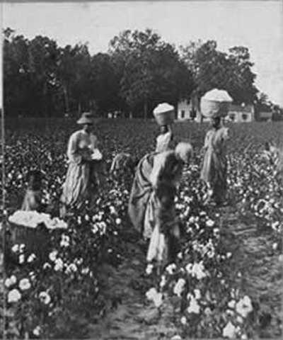 Southern Economy Begins to Grow