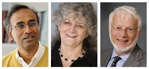 Estudios de la estructura y función del ribosoma