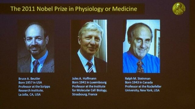 Descubrimientos en relación con la activación de la inmunidad innata