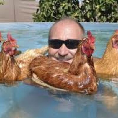 Timeline: Kay's Timeline