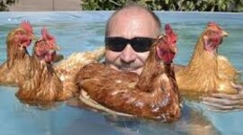 Timeline: Kay's Timeline