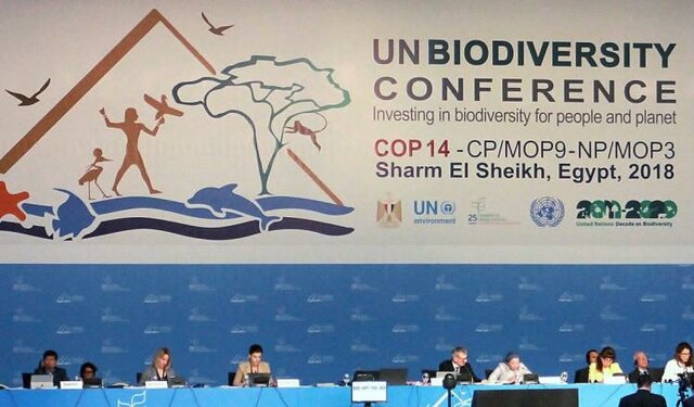 Conferencia sobre Biodiversidad de la ONU en China