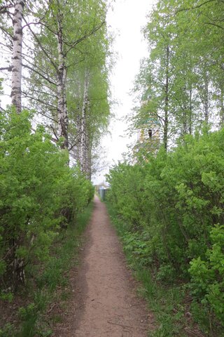 посажен "Поповский сад"