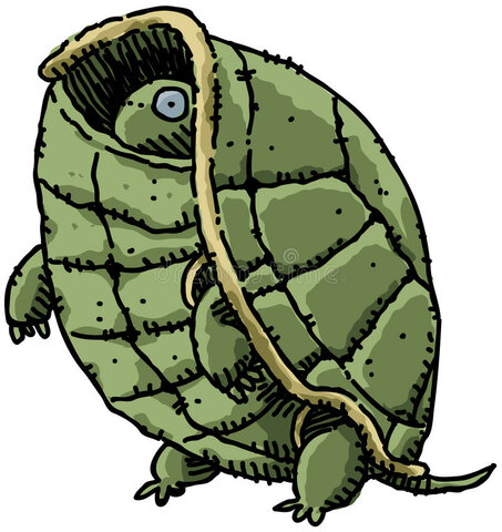 Grandmas know everything, right?