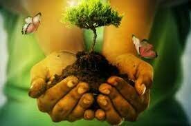 MEDIO AMBIENTE Y EDUCACIÓN