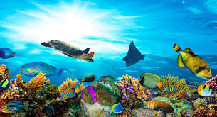 CONVENIO PARA LA PROTECCIÓN DEL MEDIO MARINO DE LA REGIÓN DEL GRAN CARIBE