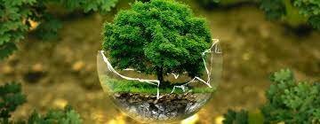 INTERDISCIPLINARIEDAD: UN ENFOQUE FUNDAMENTAL DE LA DIMENSIÓN AMBIENTAL