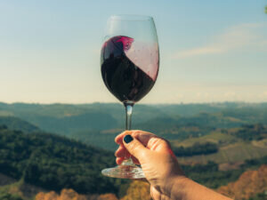 Mercado colombiano es prioridad para la indústria vinícola de Brasil