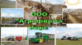 Timeline: История развития  ООО "Агрофирма Игра"