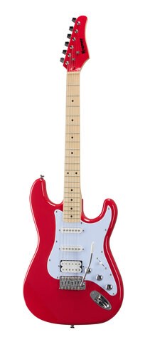 Electric Guitar Introduced