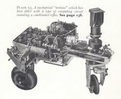 Tortue cybernétique