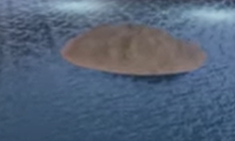 La primera tierra de la palma