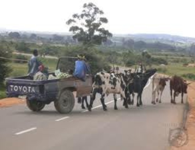 Animal power train  early 1800