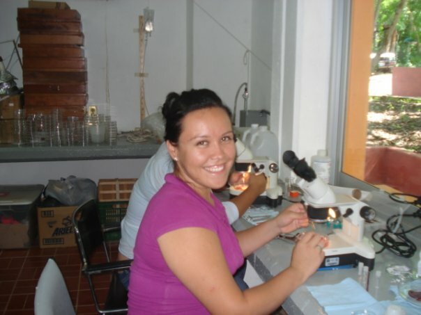 Descubriendo nuevas especies