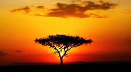 Timeline: GABRIEL FARFAN 901