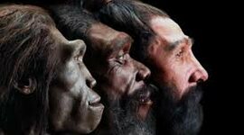 Timeline: Inventos de la Humanidad