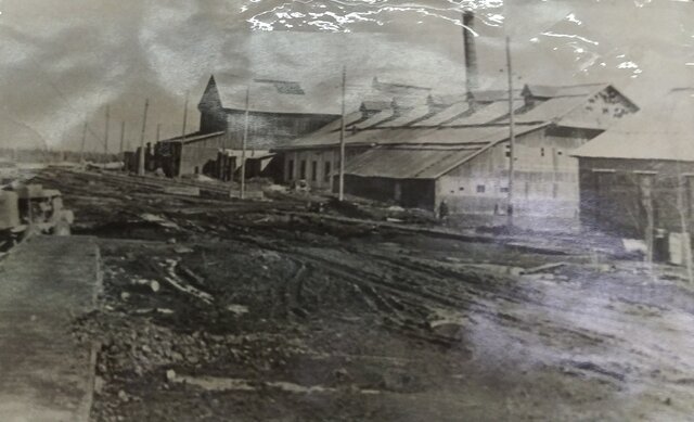 Перед войной...