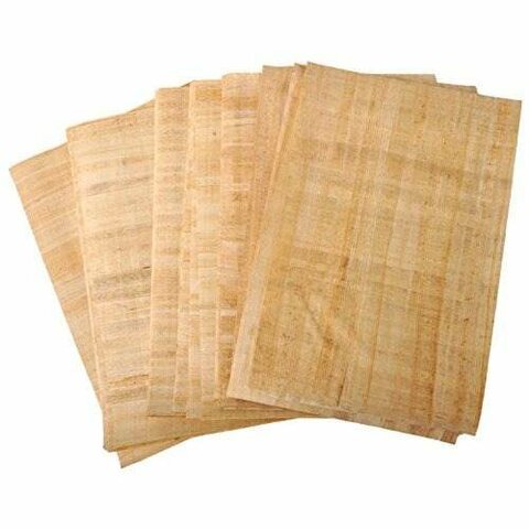 Aparicion del papiro