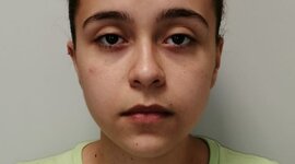 Timeline: linea de vida