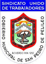 Sindicato de Choferes Profesionales