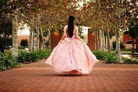 Celebre mis XV años