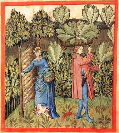 2) Alimentazione Basso Medioevo (1000-1500)