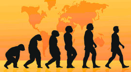 Timeline: la evolución del humano