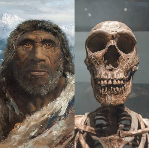 Homoneandertalis