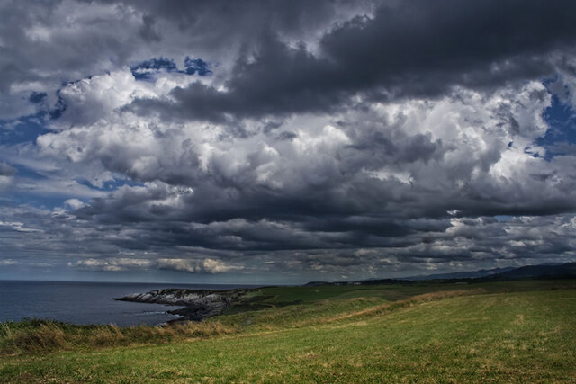 Día 3: creación de la vegetación
