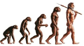 Timeline: Teoria del Origen de Hombre