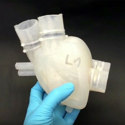 Timeline: Biomateriales recientes