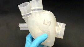 Timeline: Biomateriales recientes