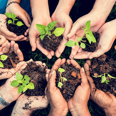 Timeline: Sustentabilidad - Alba Sayuri Ramirez Rios 5B