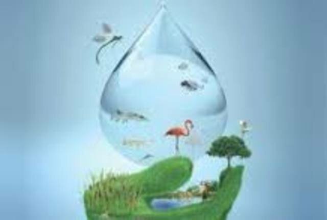 Conferencia de Estocolmo