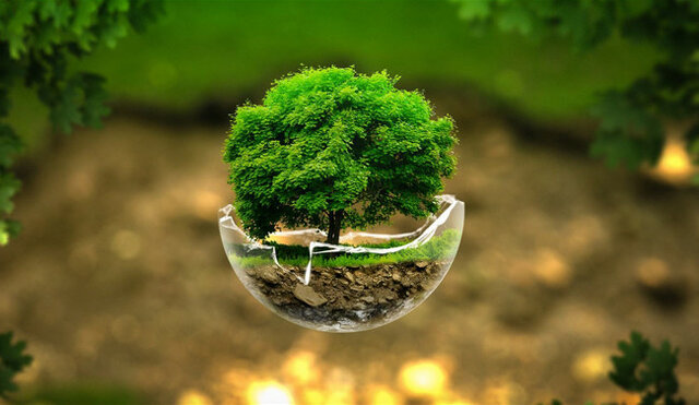 Quinto Congreso Iberoamericano de Educación Ambiental