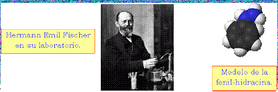 Hermann Emil Fischer