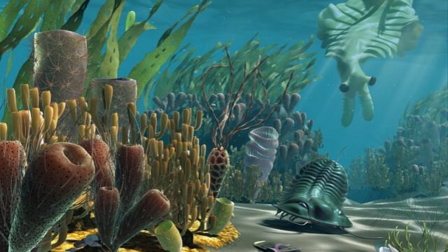 Cambriano → Paleozoico, Fanerozoico