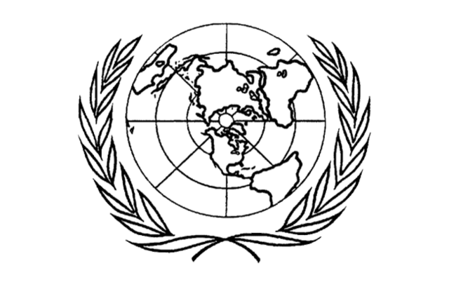 Organización de las Naciones Unidas (ONU)