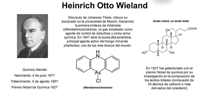 Heinrich Otto Wieland