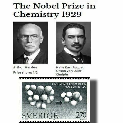 Arthur Harden, Hans Karl August Simon von Euler-Chelpin