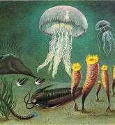 Comienza a aparecer vida en los continentes