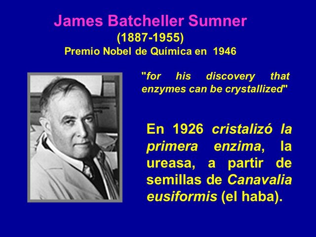 James Batcheller Sumner