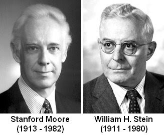 Stanford Moore, William H. Stein