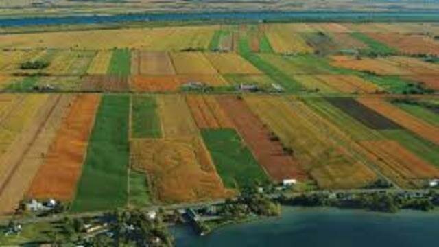 Utilisation du régime seigneurial